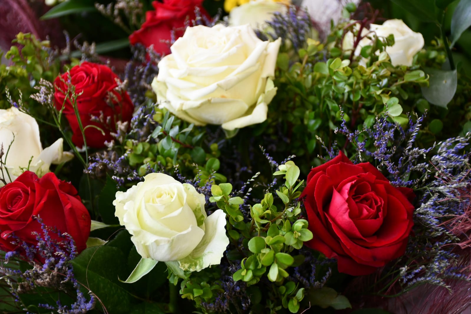 WhatsApp Image 2020-05-22 at 4.36.02 PM.jpeg.jpeg